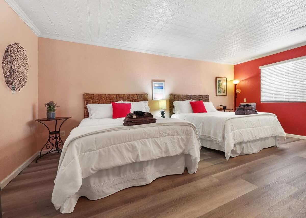 Cozy Apt-Sequoia Parks Coast Wineries Skiing-All Day Trips 维塞利亚 外观 照片